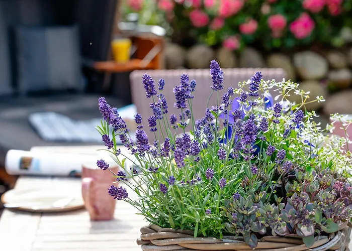 Casa de Férias Litzkow 13802