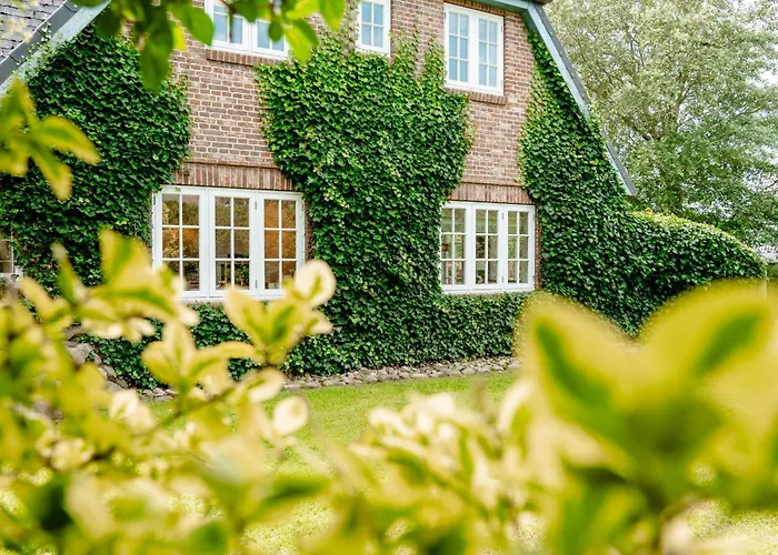 Litzkow 13802 * Morsum (Sylt)